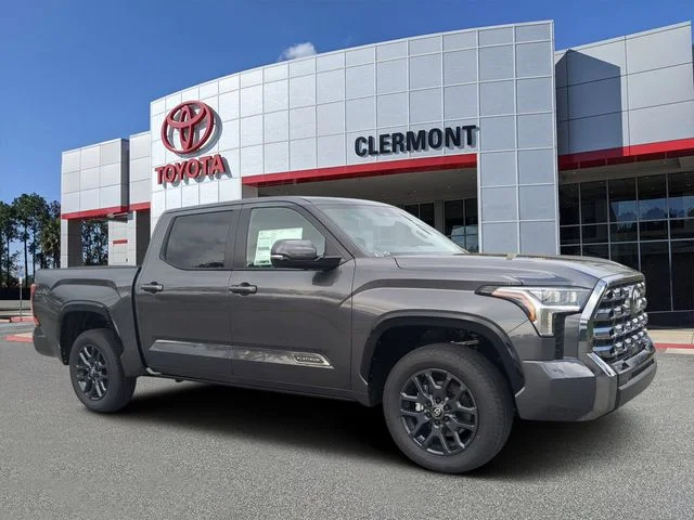 New 2026 Magnetic Gray Metallic Toyota Platinum image 1
