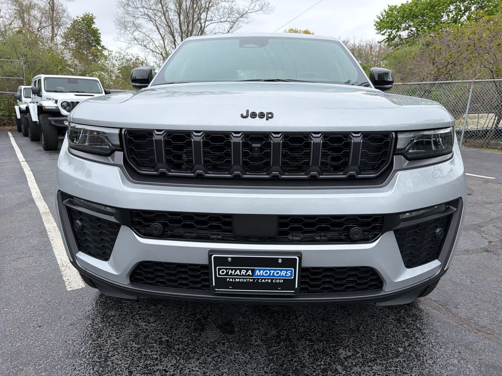 New 2026 Silver Zynith Jeep 85th Anniversary Edition image 25