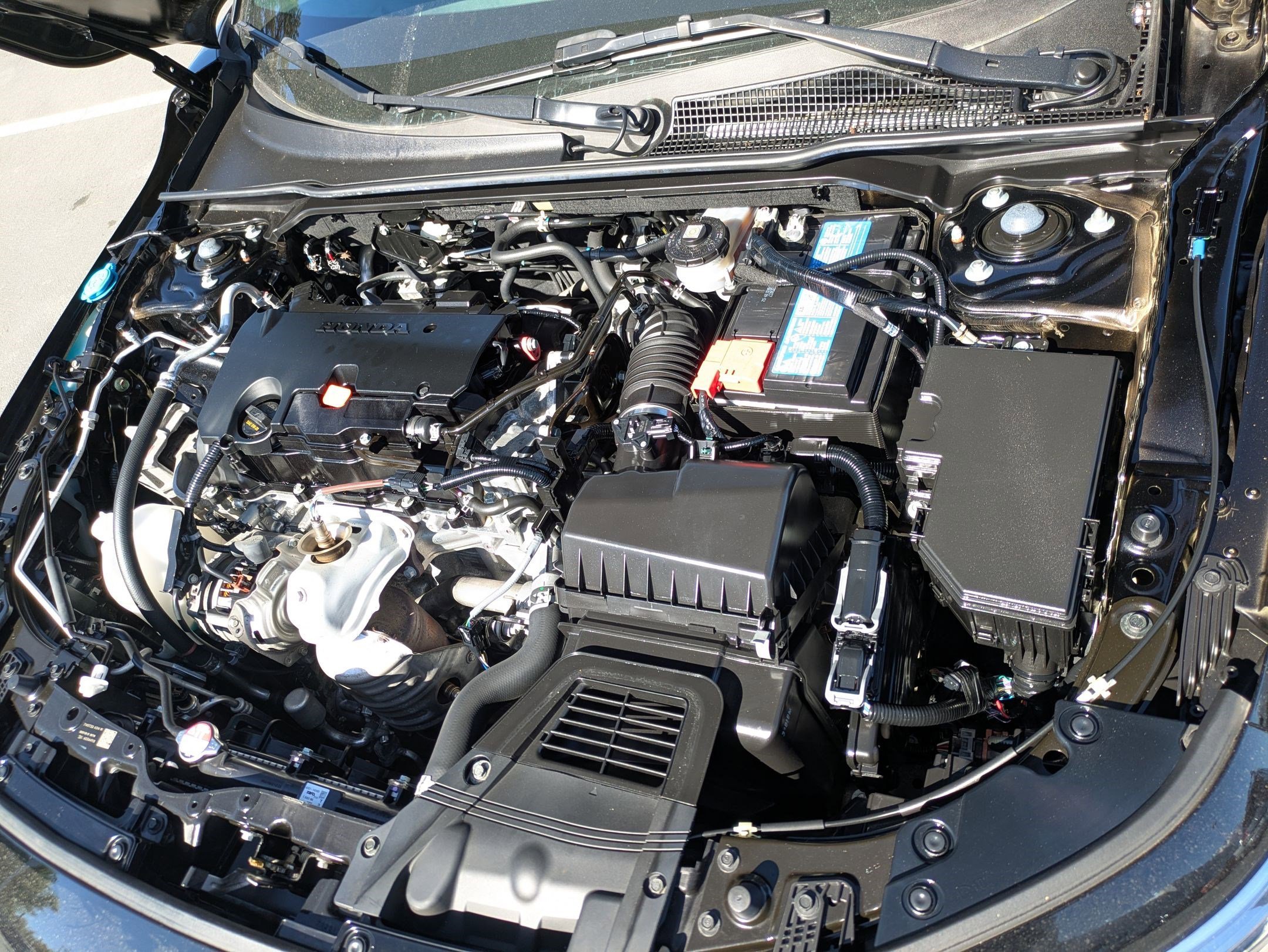 Used 2023 Black Honda Sport image 32