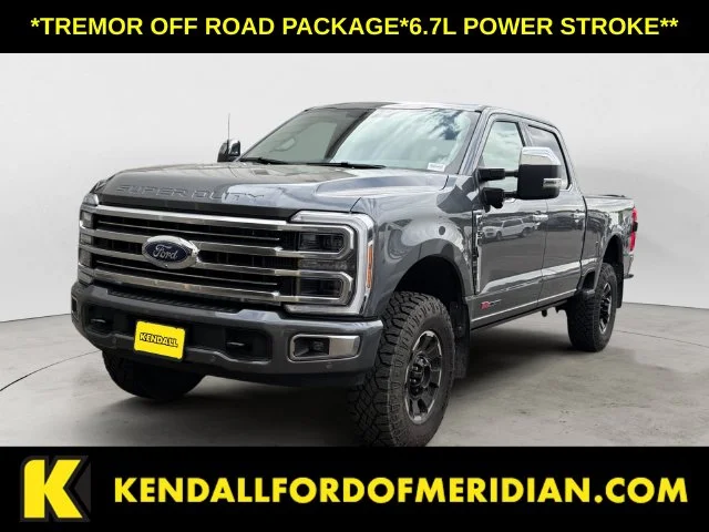 Used 2026 Gray Ford Platinum image 1
