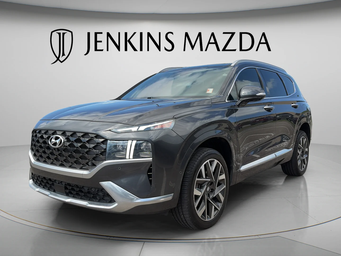 Used 2023 Portofino Gray Hyundai Calligraphy image 7