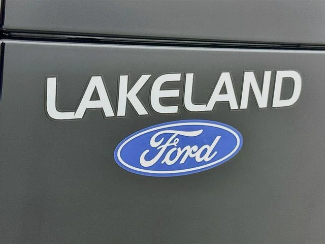 New 2027 Gray Ford Platinum image 29