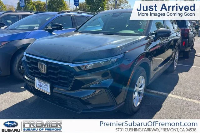 Used 2025  Honda LX image 1
