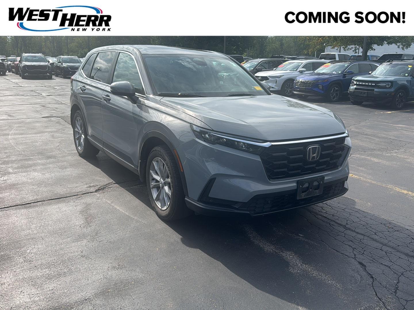 Used 2023 Urban Gray Pearl Honda EX-L image 1