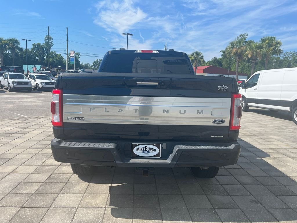 Used 2023 Blue Metallic Ford Platinum image 5