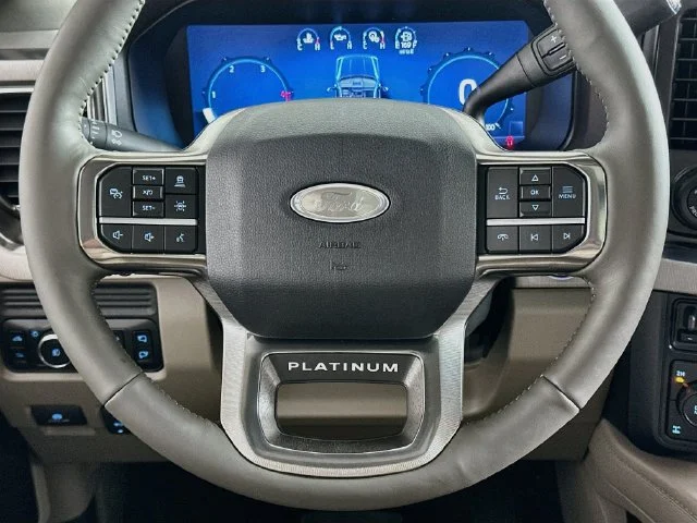 New 2026 Black Ford Platinum image 14