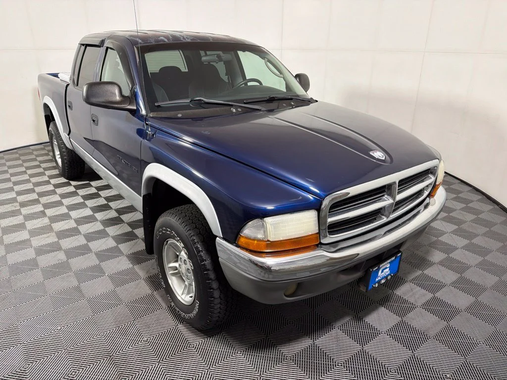 Used 2001  Dodge Sport image 1