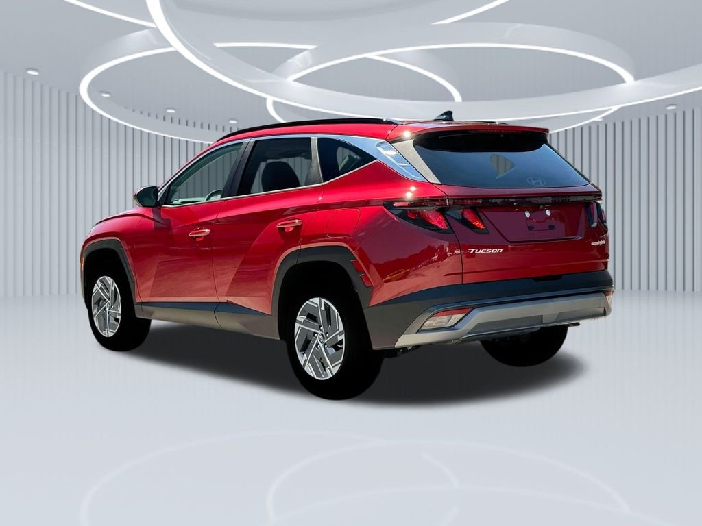 New 2025 Red Hyundai Blue image 24