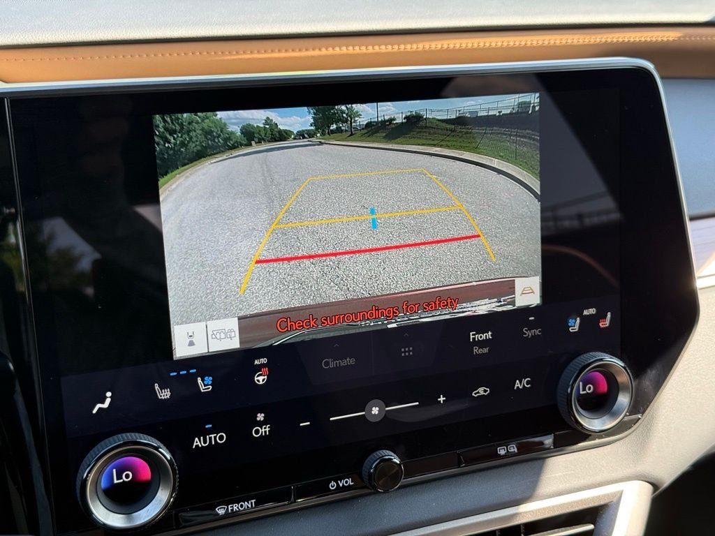 2025 Lexus RX 350 - Photo 37