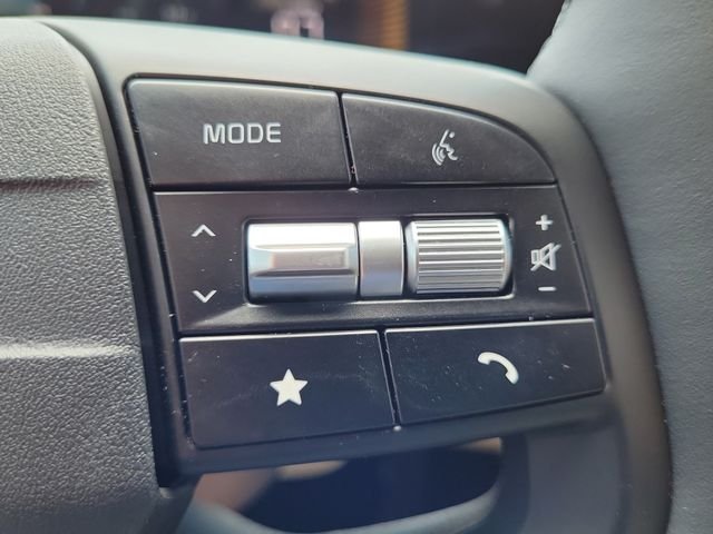 New 2026 Panthera Metal Gray Kia EX image 29