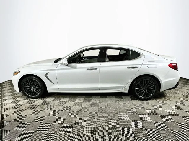 Used 2019 White Genesis 2.0T Advanced image 6
