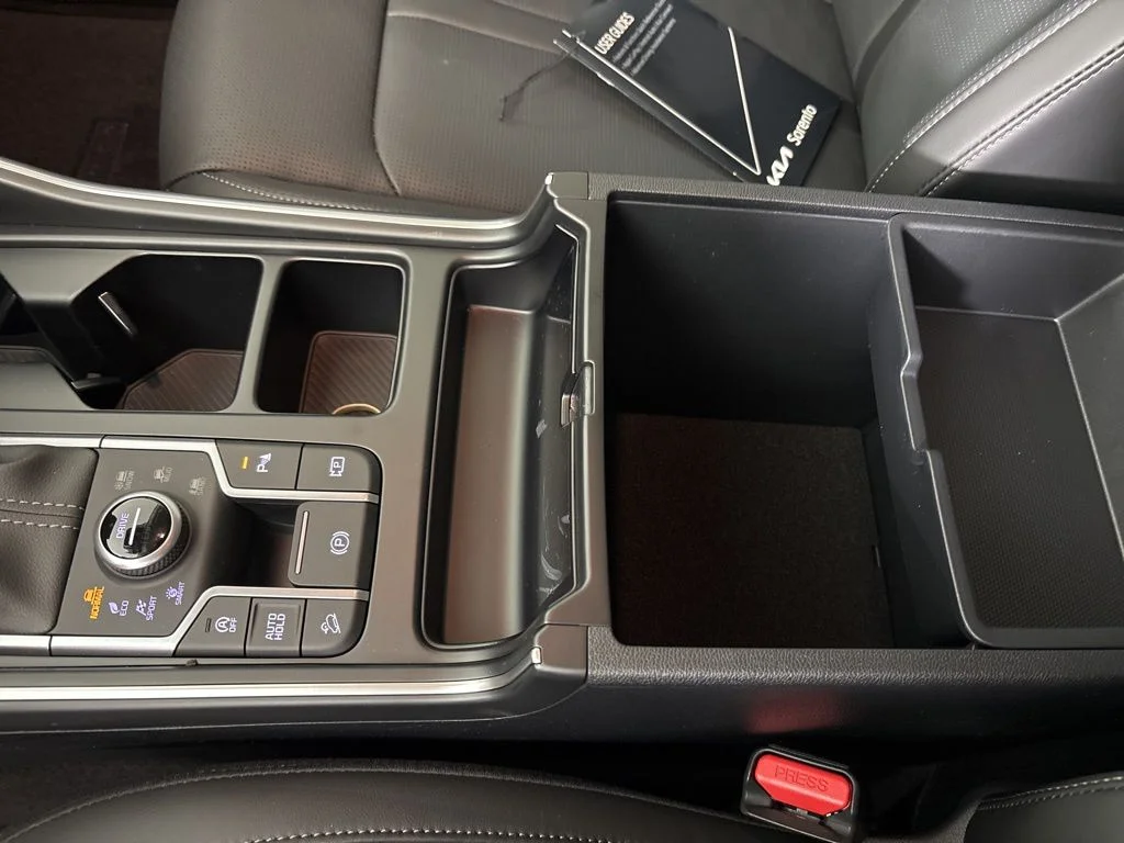 New 2026 Panthera Metal Kia S image 35