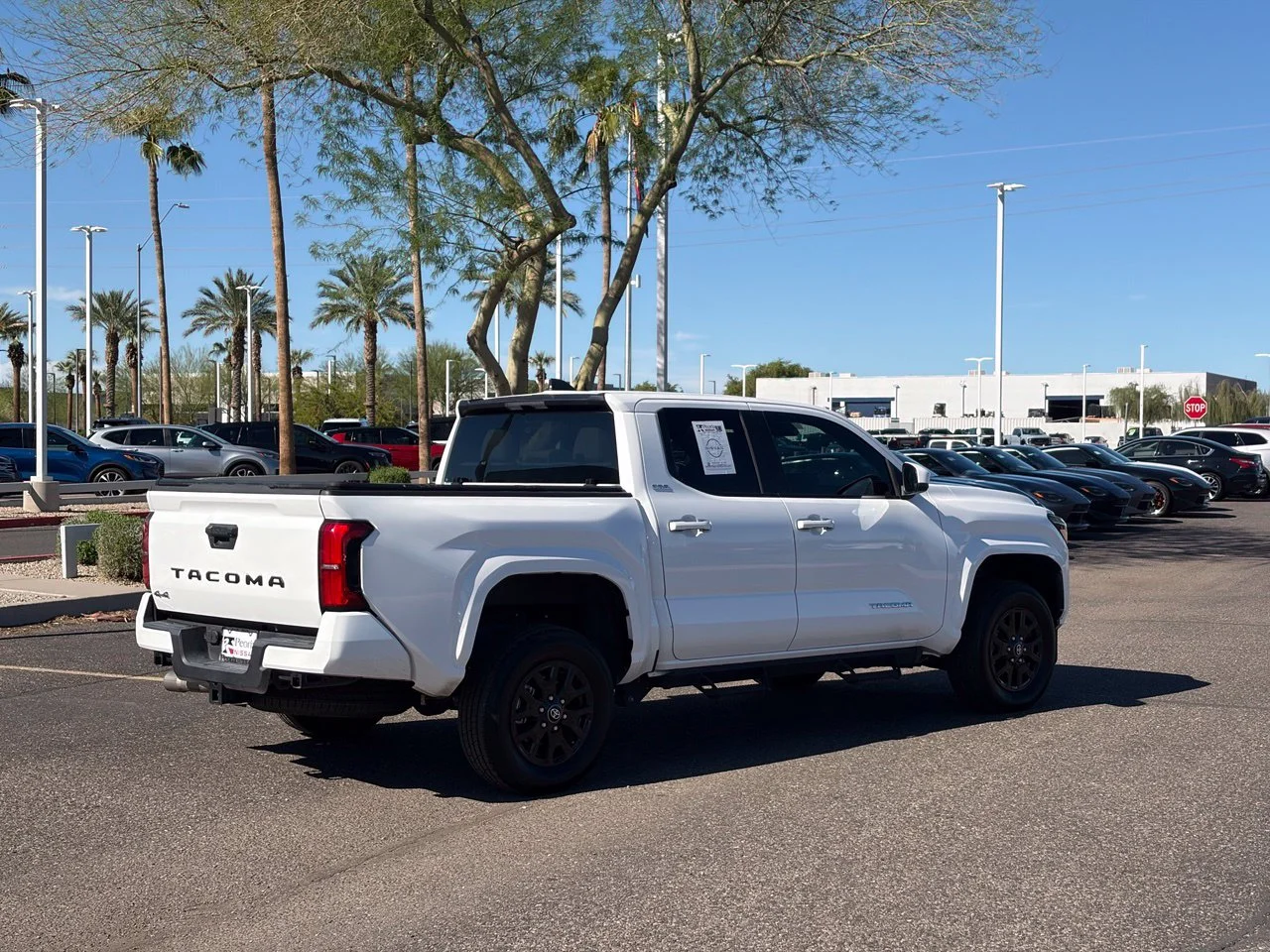 Used 2024 Ice Toyota SR5 image 4