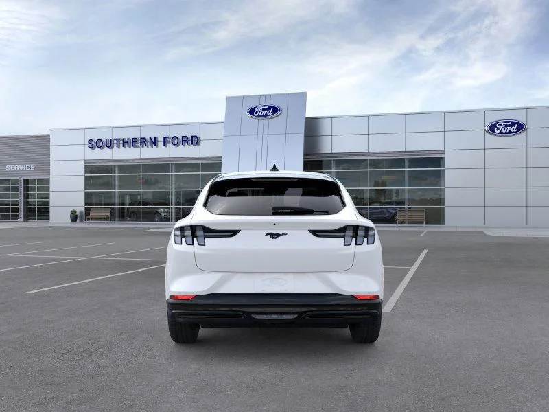 New 2025 White Ford Premium image 5