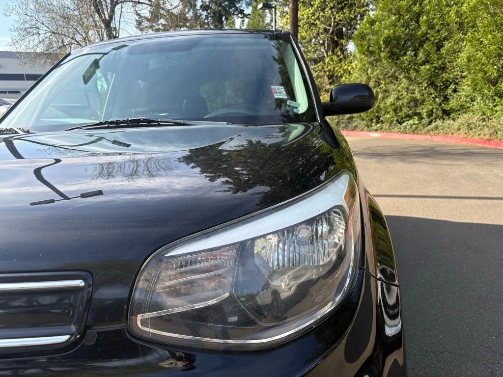 Used 2017 Shadow Black Kia Plus image 7