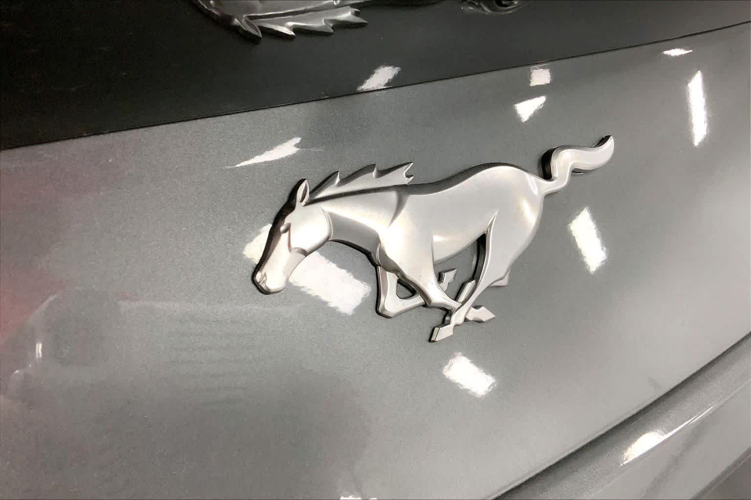 2025 Ford Mustang EcoBoost Fastback - Photo 12