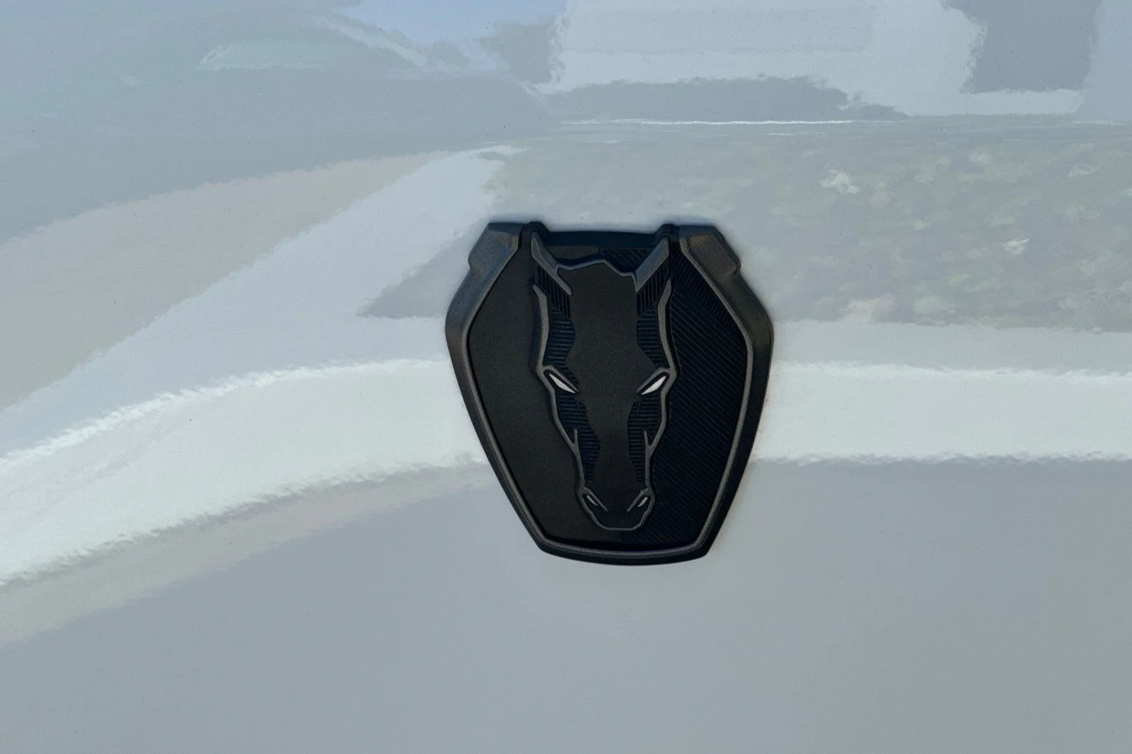2024 Ford Mustang Dark Horse - Photo 21