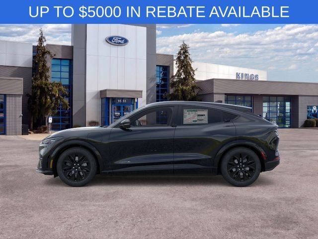 New 2026 Shadow Black Ford Premium image 3