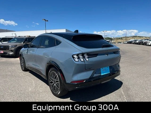 Used 2024 Blue Ford Premium image 3