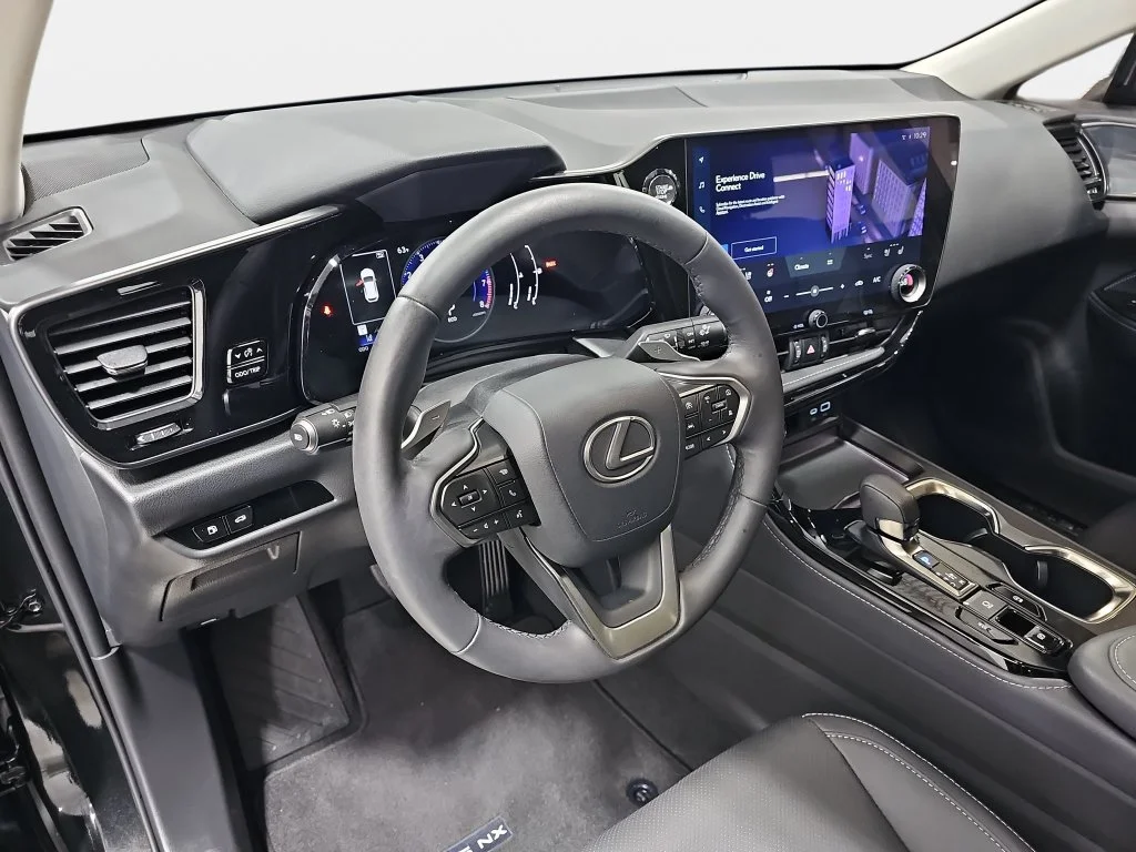 Used 2025 Black Lexus 250 Premium image 18