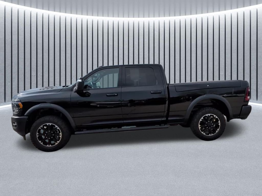 Used 2024 Black Ram Rebel image 16