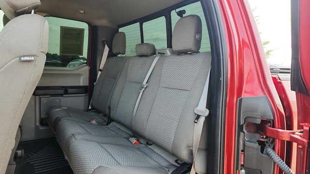 Used 2019 Red Ford XLT image 13