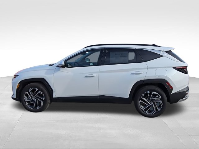 Used 2025 White Hyundai Limited image 6