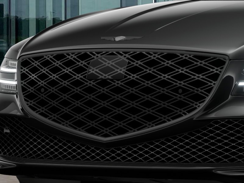 New 2027 Vik Black Genesis  image 13