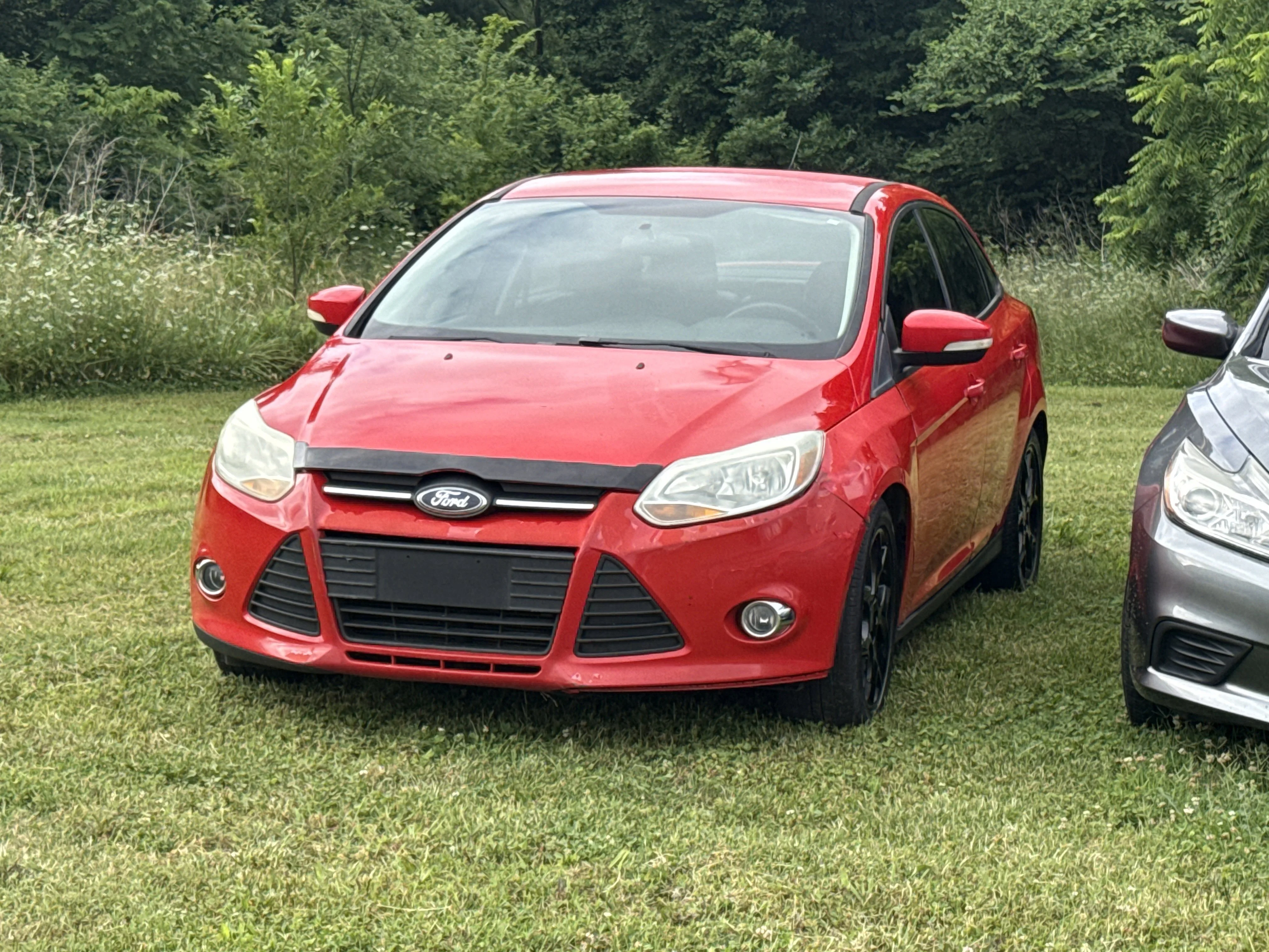 Used 2014  Ford SE image 3