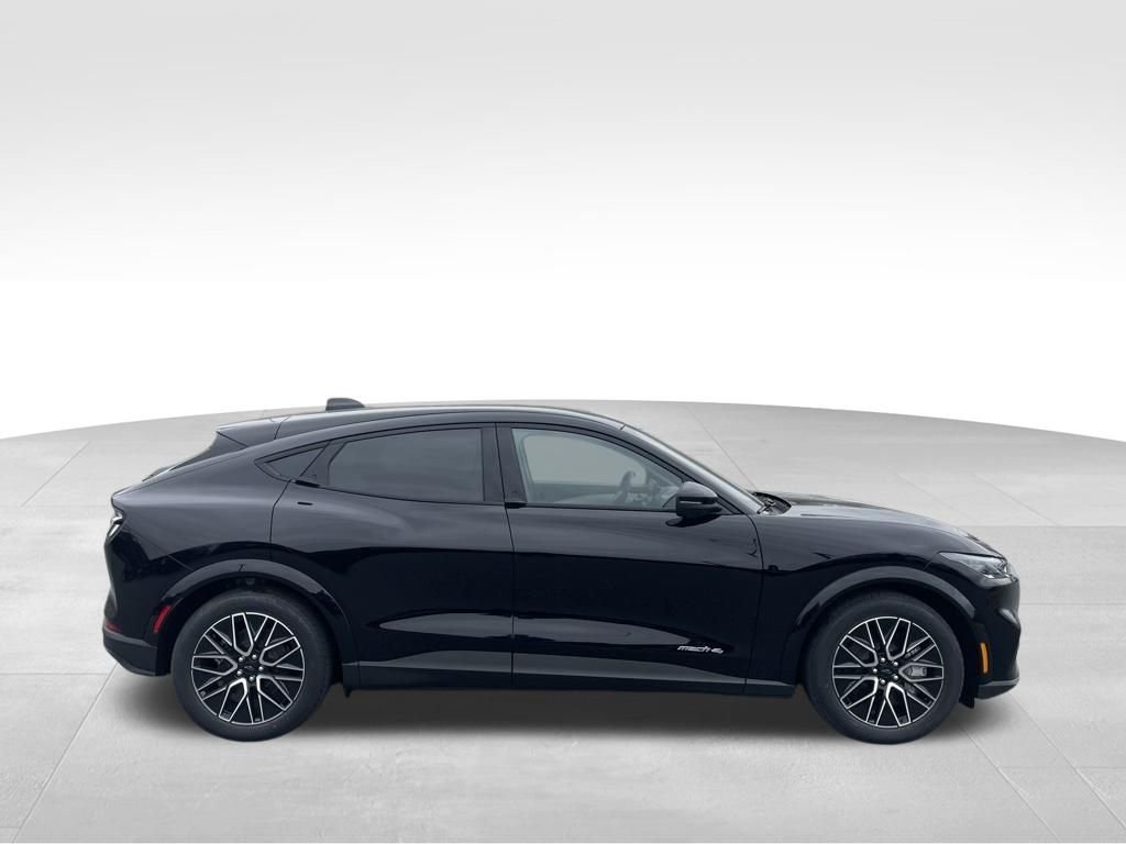 New 2026 Shadow Black Ford Premium image 13