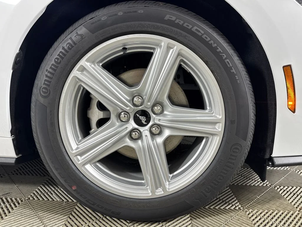New 2026 White Ford EcoBoost image 15