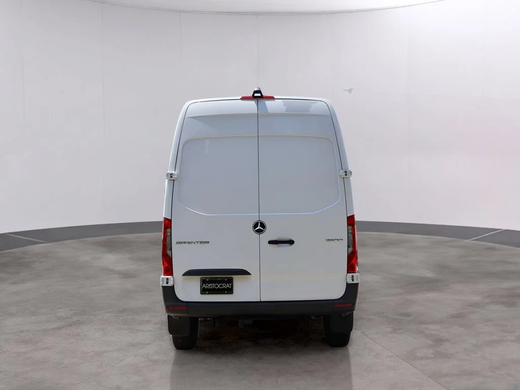 New 2025 Arctic+White Mercedes-Benz Cargo 144 WB image 48