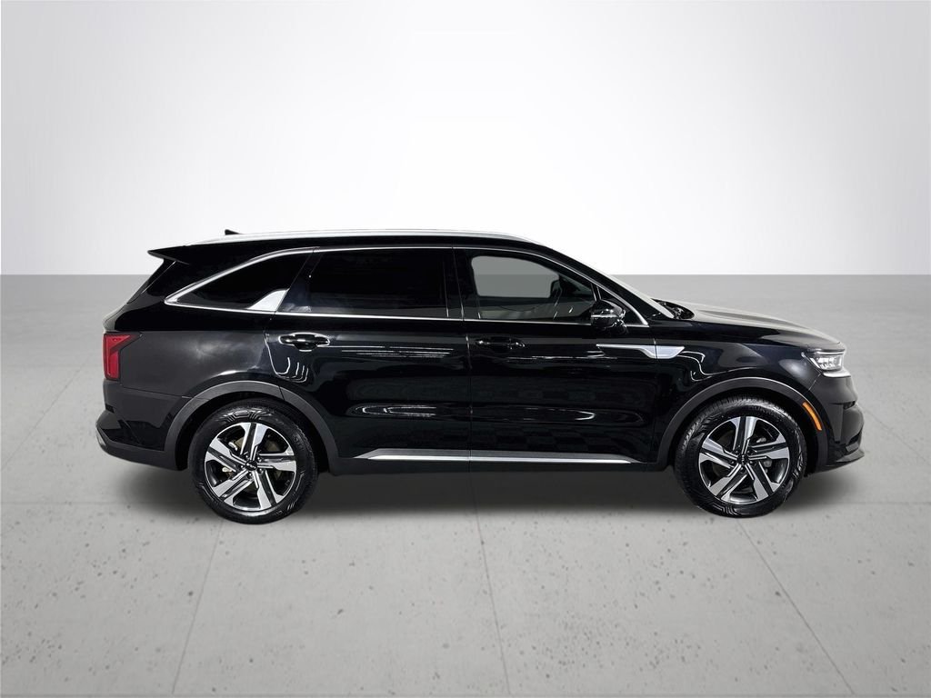 Used 2023 Aurora Black Kia SX Prestige image 5