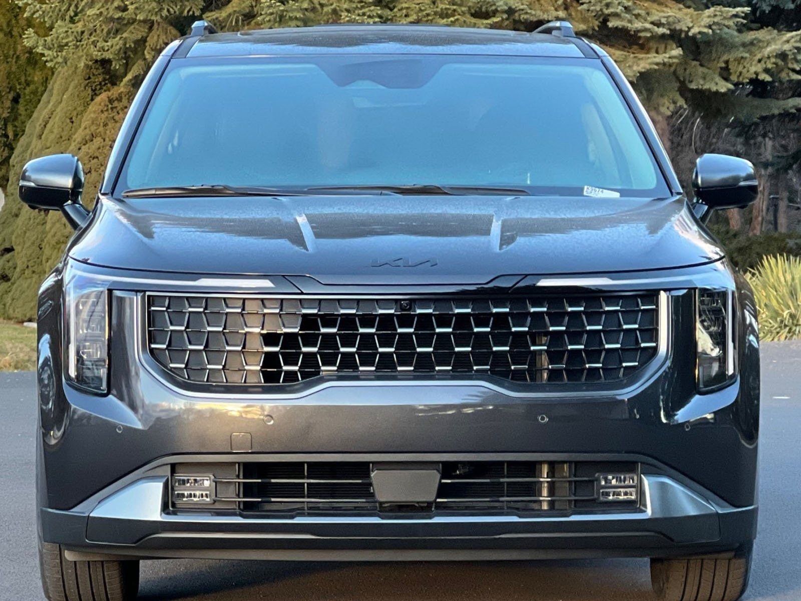 2025 Kia Carnival SX - Photo 9