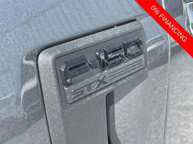 New 2026 Gray Ford STX image 7