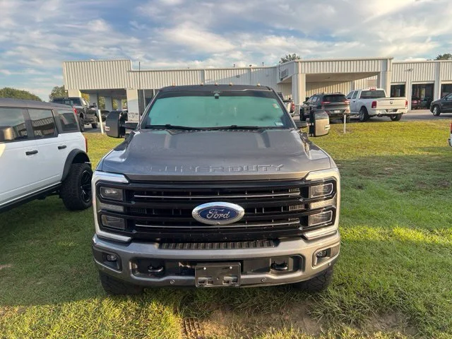 Used 2025 Gray Ford Platinum image 2