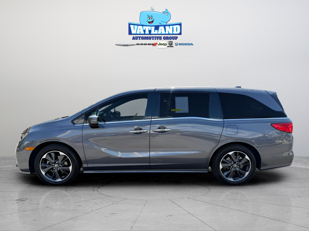 Used 2022 Gray Honda Elite image 2