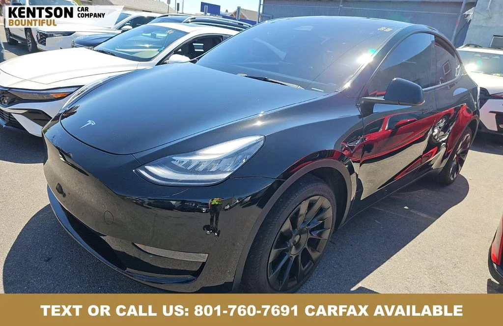 2023 Tesla Model Y Long Range Dual Motor All-Wheel Drive's photo
