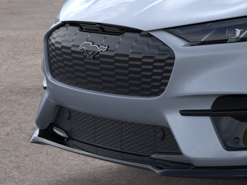2025 Ford Mustang Mach-E GT - Photo 39
