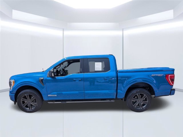 Used 2021 Blue Ford XLT image 2