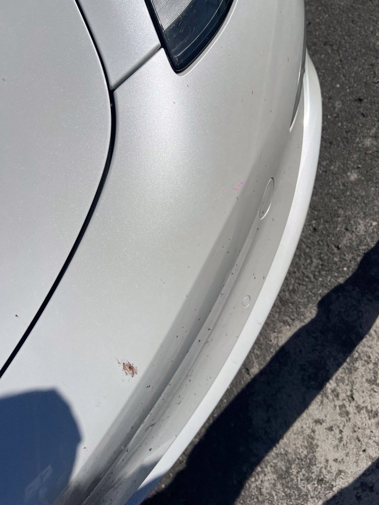 Used 2021 White Tesla Long Range image 18