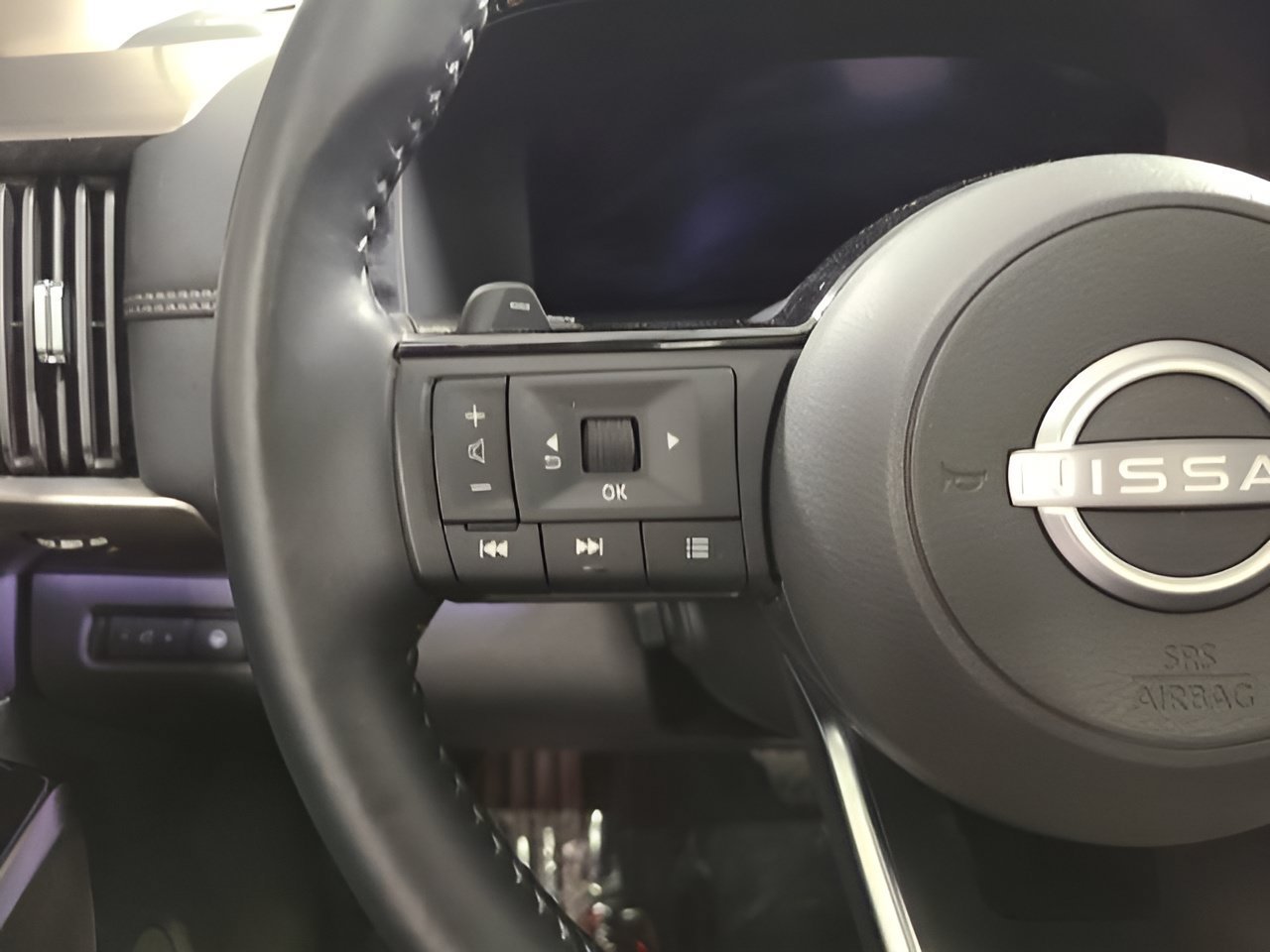 Used 2025 Baja Storm Nissan Platinum image 27