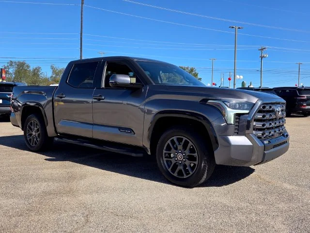 Used 2022 Gray Toyota Platinum image 1