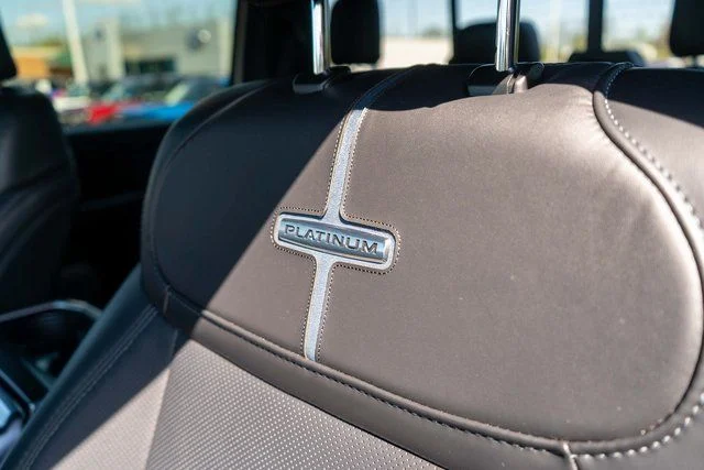 2025 Ford F-150 Platinum - Photo 20
