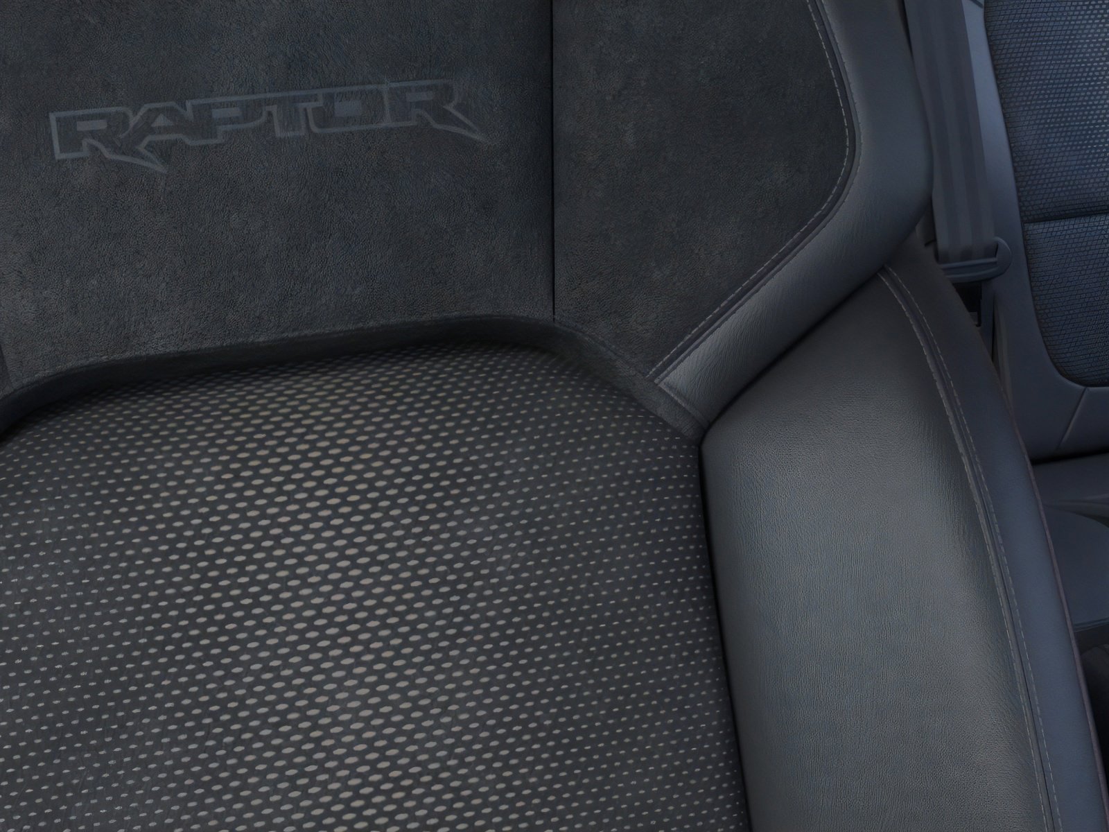 New 2026 Avalanche Gray Ford Raptor® image 18