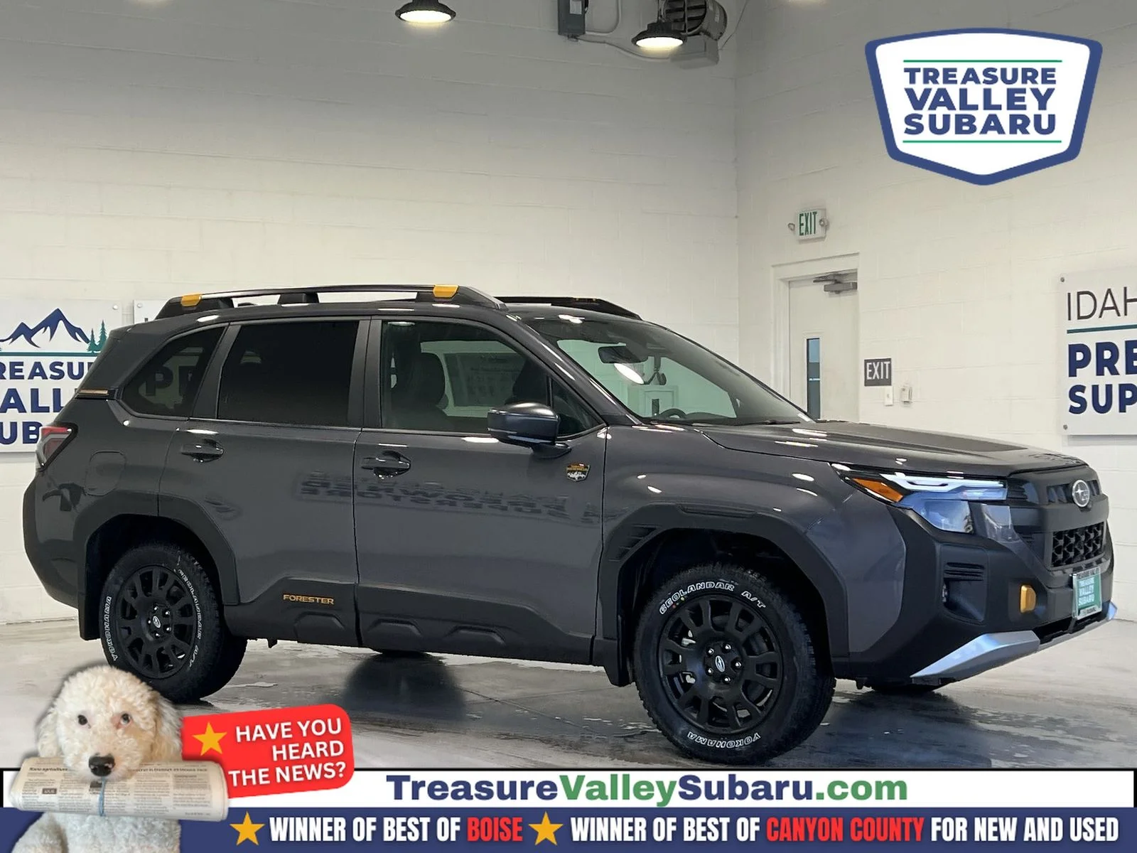 2026 Subaru Forester Wilderness's photo