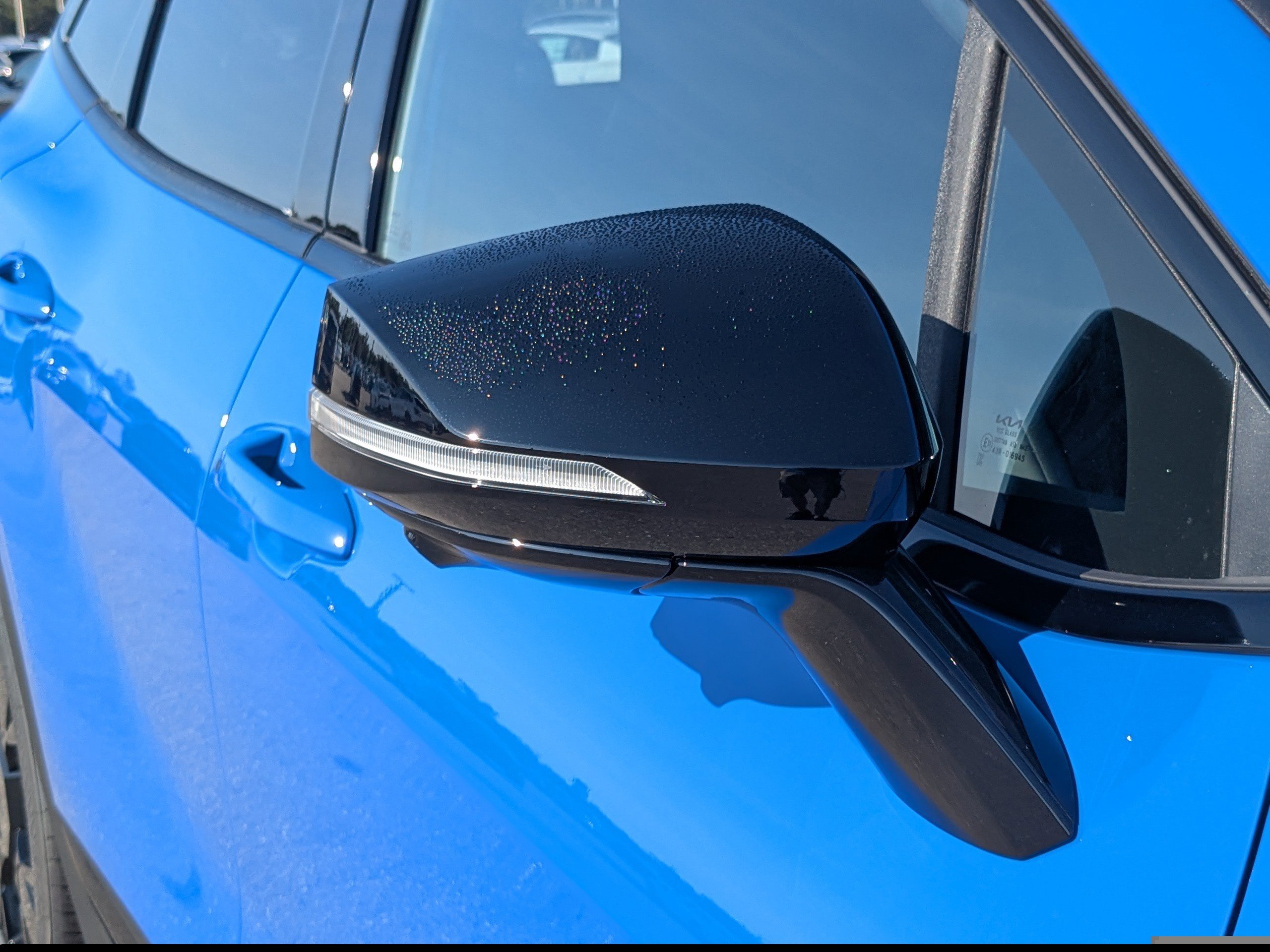 New 2026 Nebular Blue Kia X-Line image 14