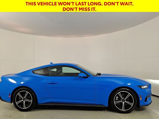 Used 2024 Blue Ford EcoBoost Premium image 9