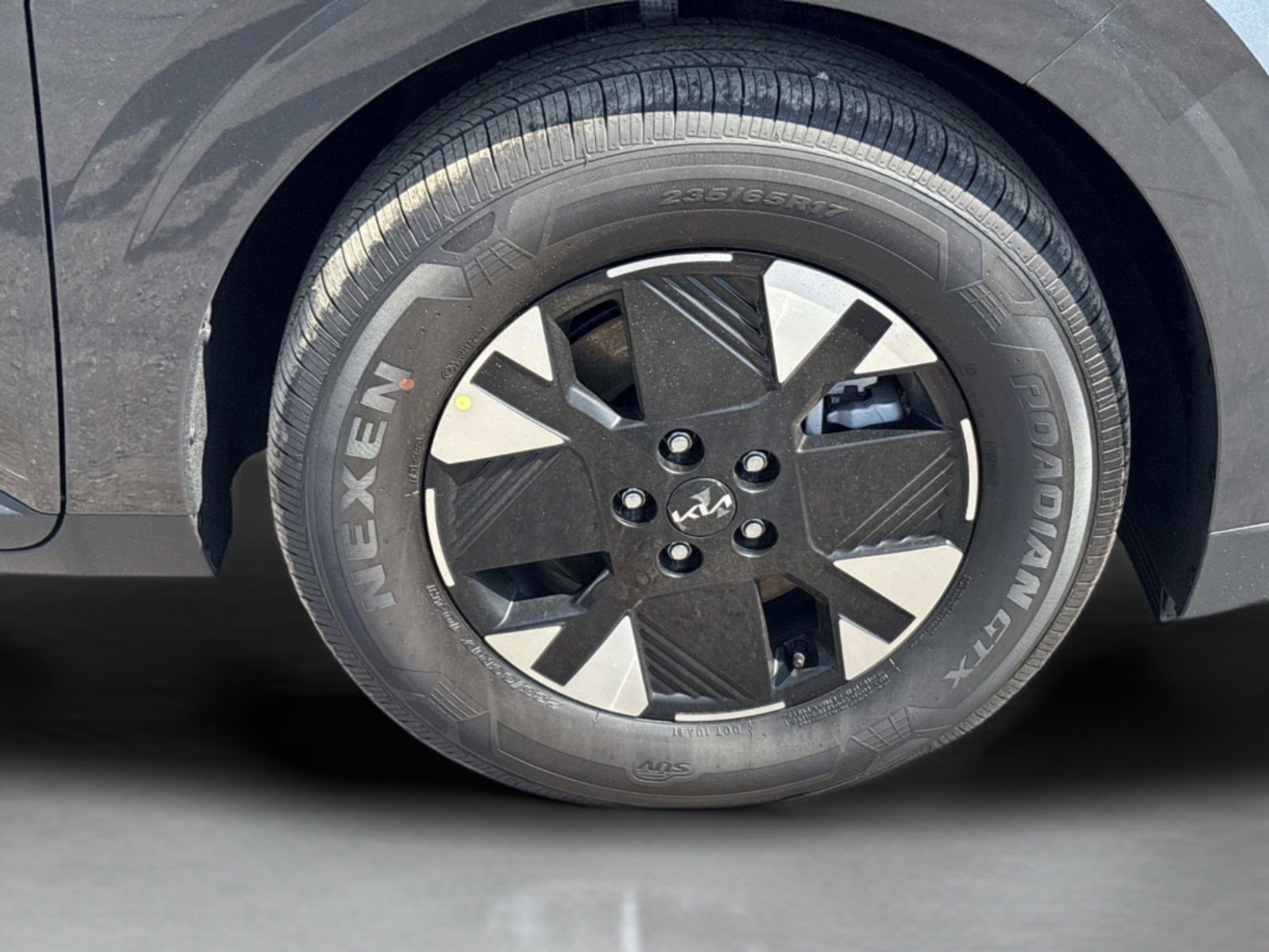 New 2026 Panthera Metal Kia LXS image 9