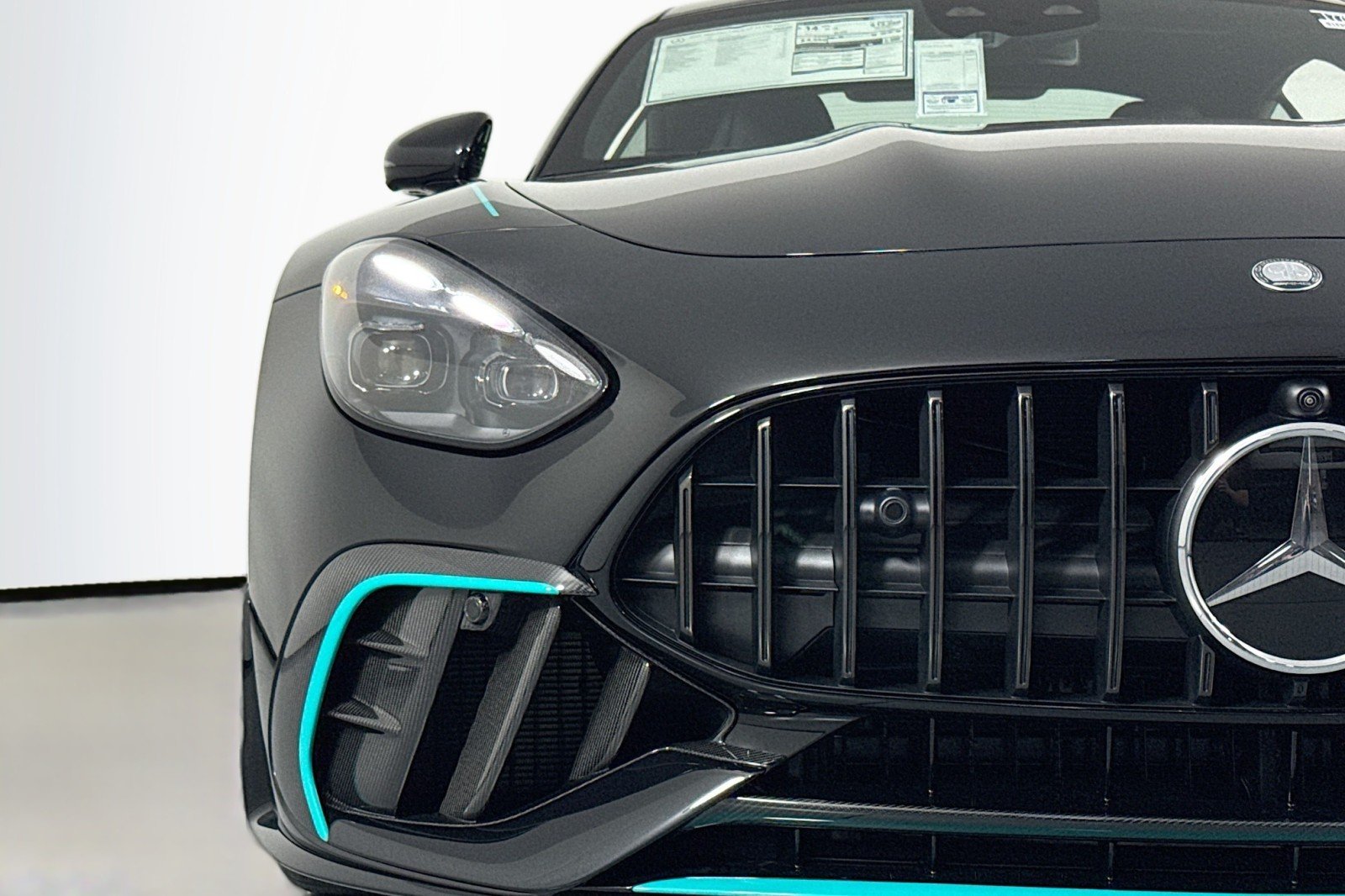 2025 Mercedes-Benz AMG GT Coupe 63 PRO - Photo 13
